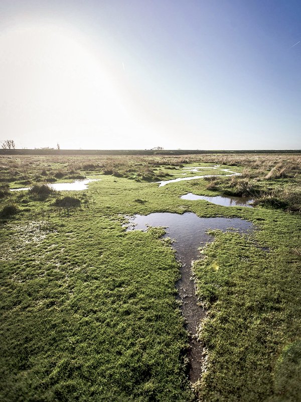 Het Verdronken Land van Saeftinghe in Nederland (Waasland)