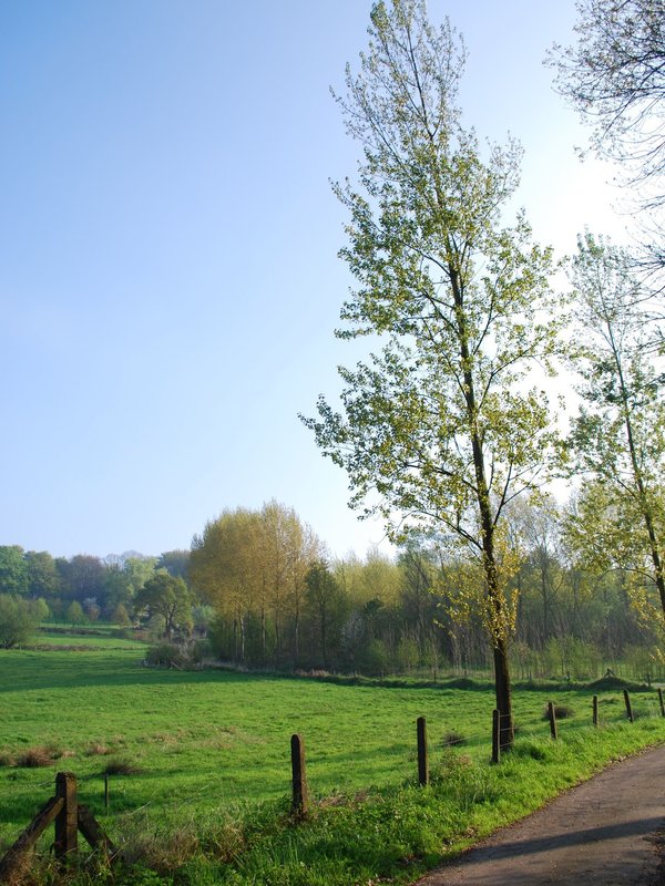 wandelweg Kloosterbos