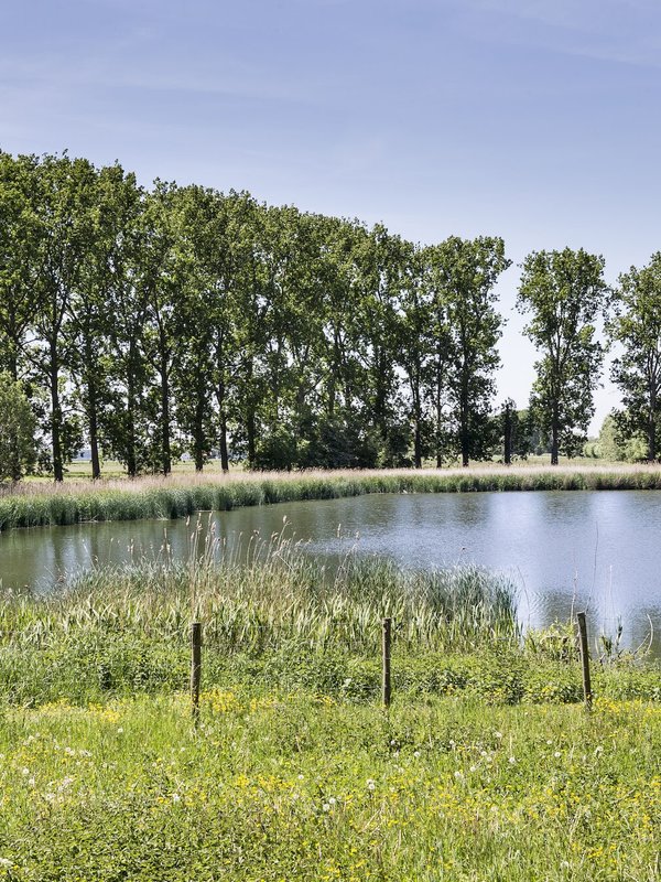 De geul in Kieldrecht (Waasland)