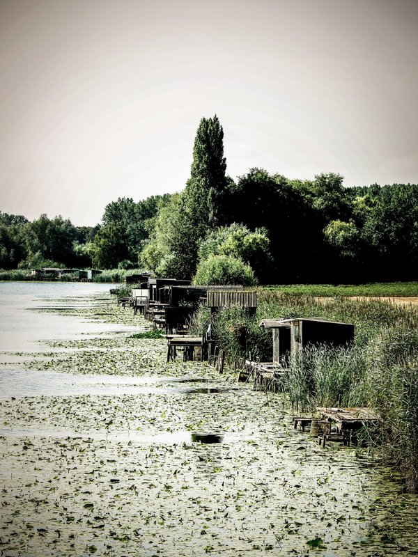 Kreken van Saleghem Sint-Gillis-Waas