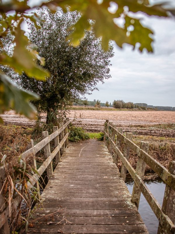 Brugje over een stukje van de kreek aan het Pereboomsgat in Moerbeke (Waasland)