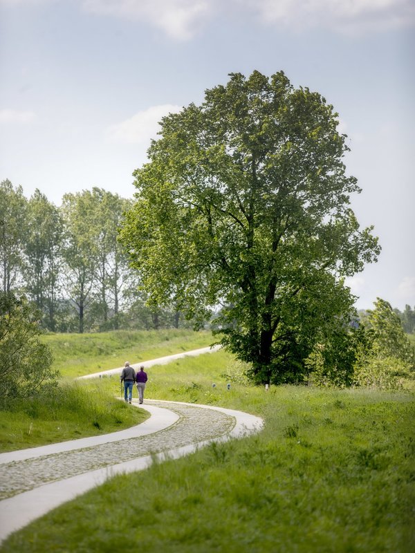 Kruibeekse polders wandelaars