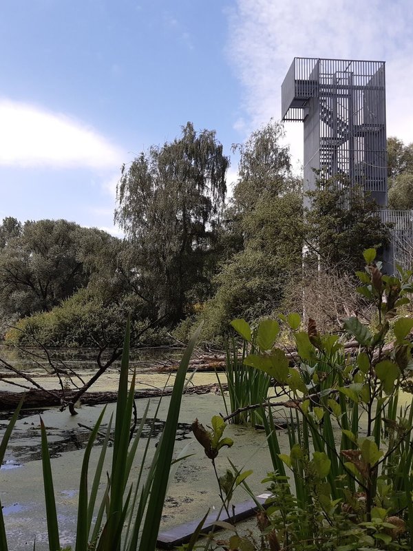 De uitkijktoren in Puyenbroeck