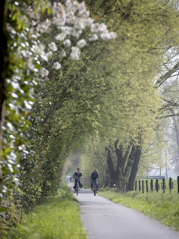 Fietsen in Sint-Gillis-Waas