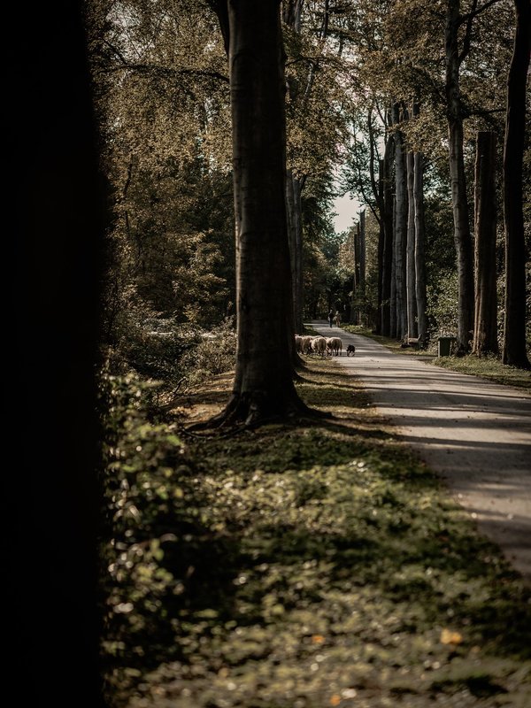 WSL-Wachtebeke-Puyenbroeck