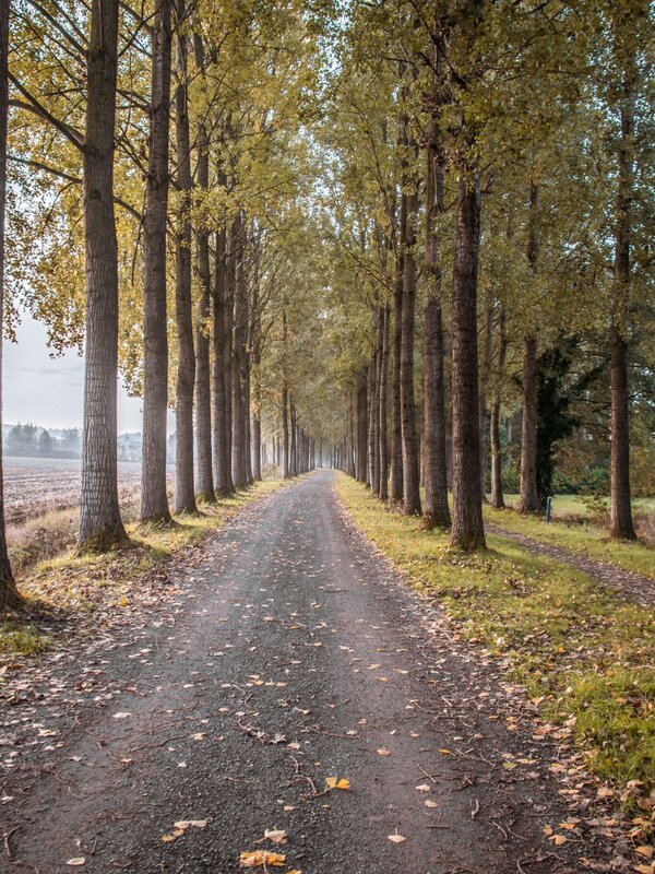 Wegen rond Kruiskapel Eksaarde