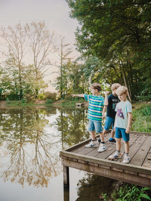 Provinciaal Domein De Ster