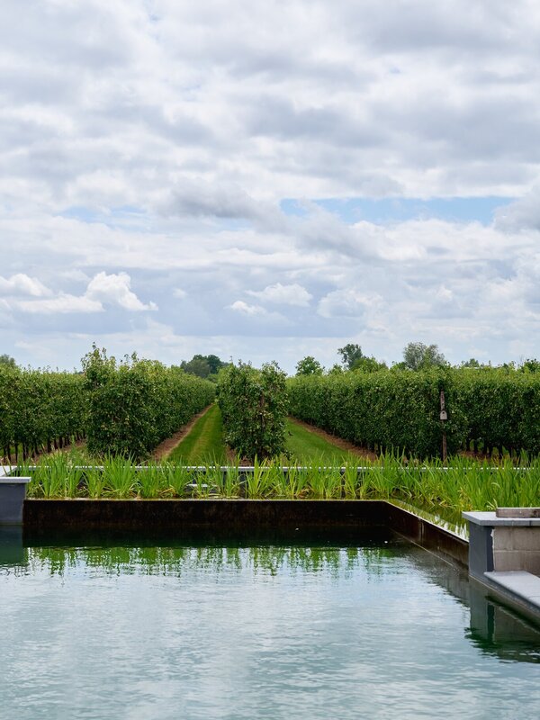 Uitzicht op de boomgaard