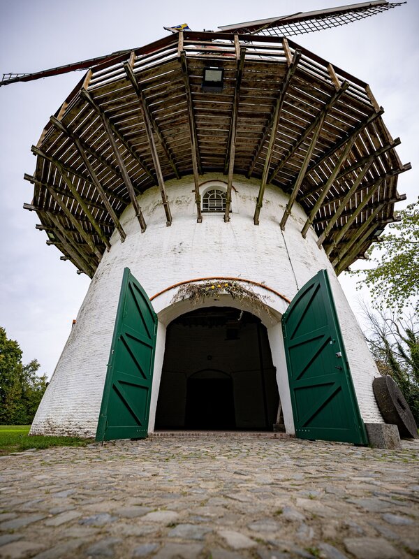 Zicht op de Roomanmolen